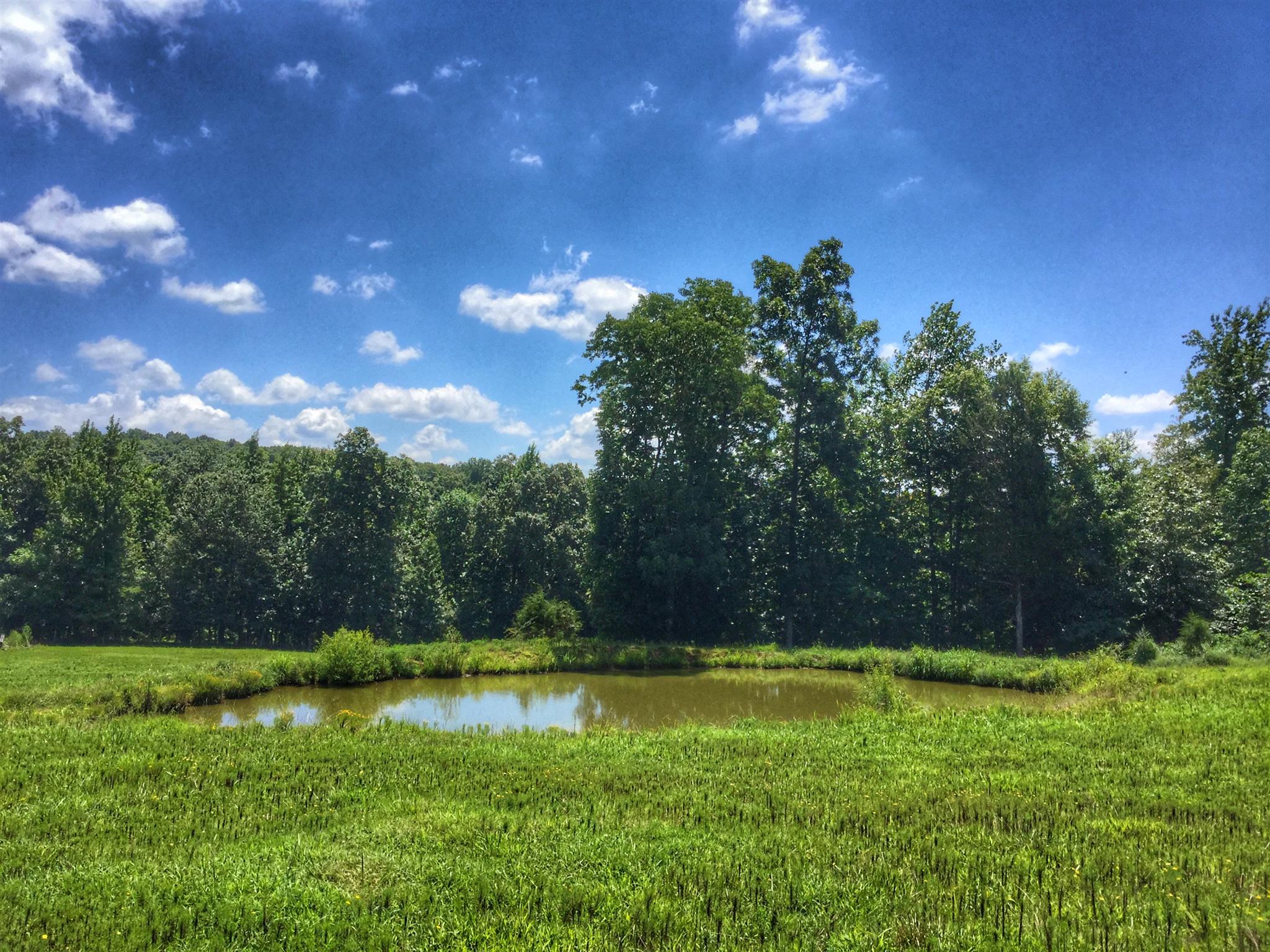 61 Hayes Ridge Road Indian Mound, TN 37079 - Photo 2 of 30 Gallery Image 2