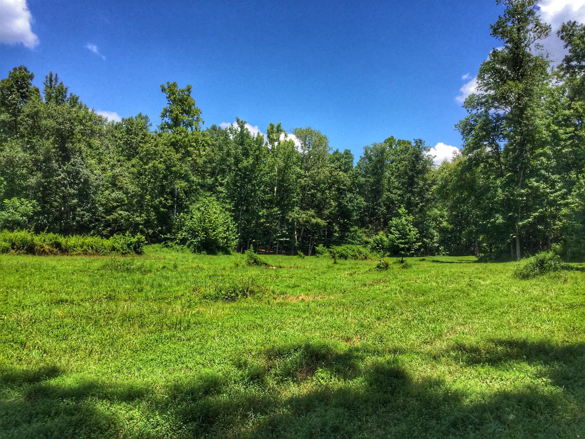 61 Hayes Ridge Road Indian Mound, TN 37079 - Photo 23 of 30 Gallery Image 23