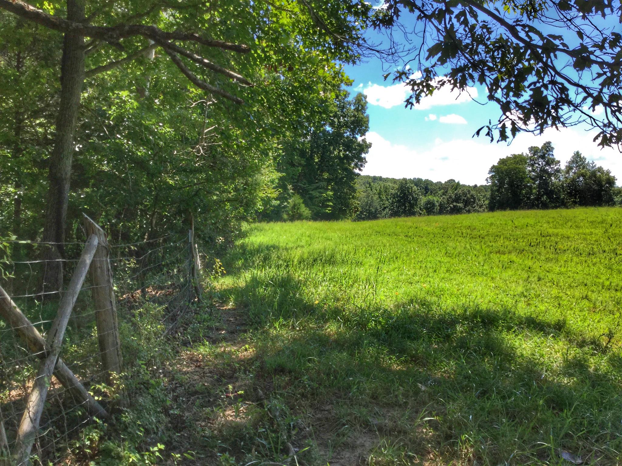 61 Hayes Ridge Road Indian Mound, TN 37079 - Photo 29 of 30 Gallery Image 29