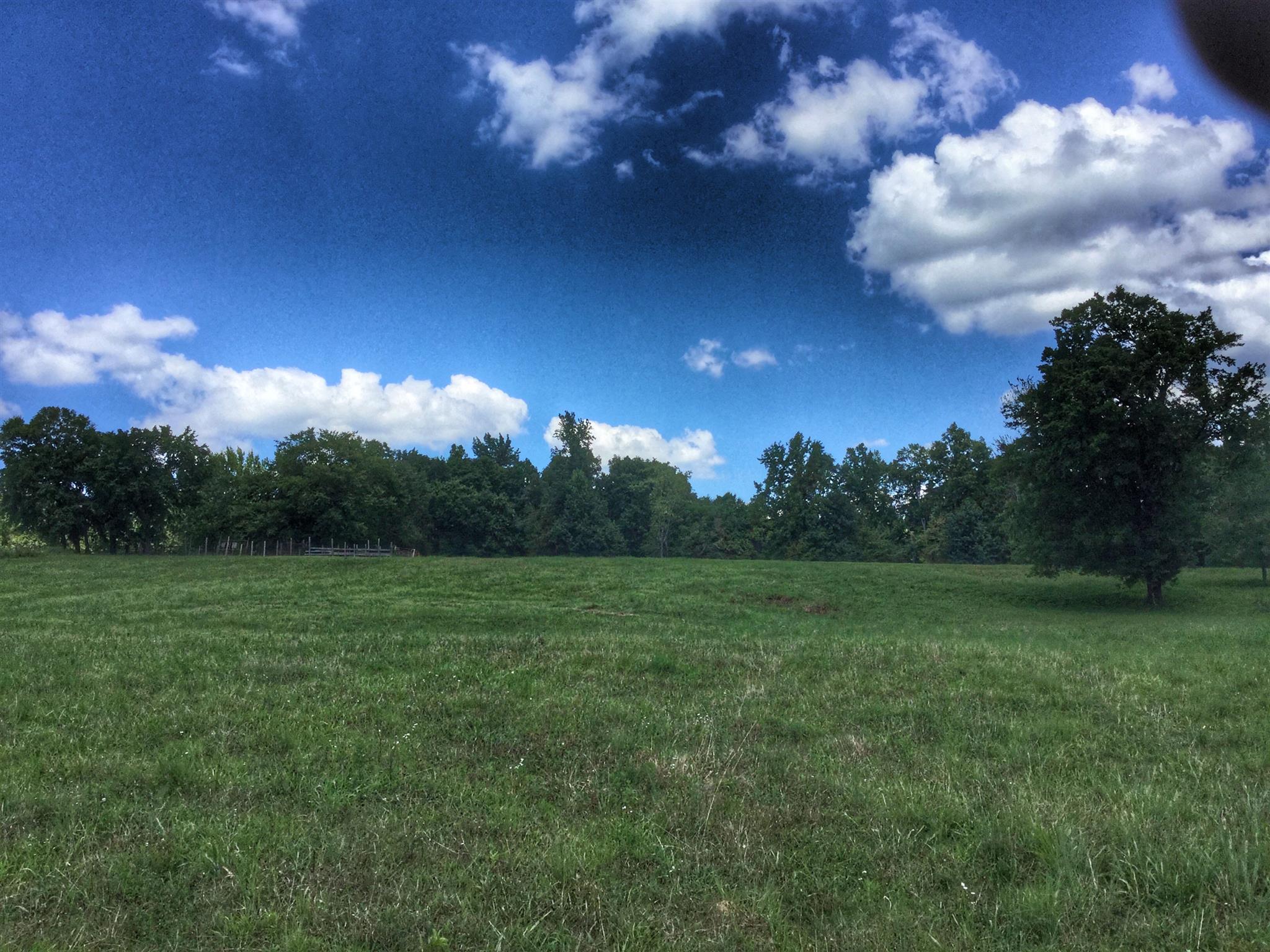 61 Hayes Ridge Road Indian Mound, TN 37079 - Photo 5 of 30 Gallery Image 5