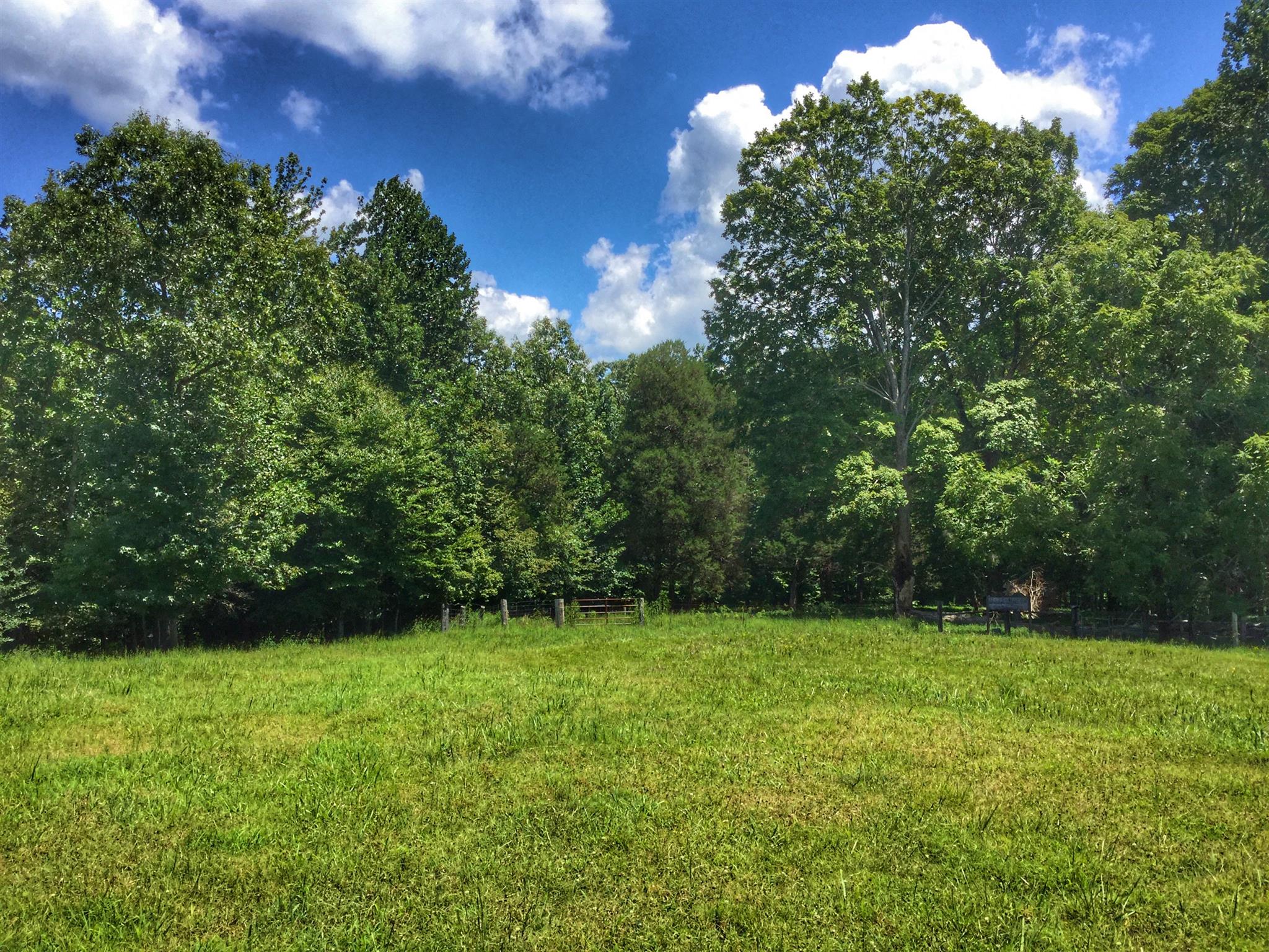 61 Hayes Ridge Road Indian Mound, TN 37079 - Photo 8 of 30 Gallery Image 8