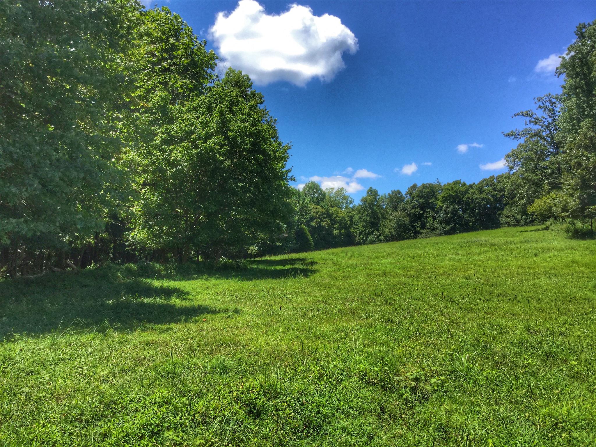 61 Hayes Ridge Road Indian Mound, TN 37079 - Photo 10 of 30 Gallery Image 10