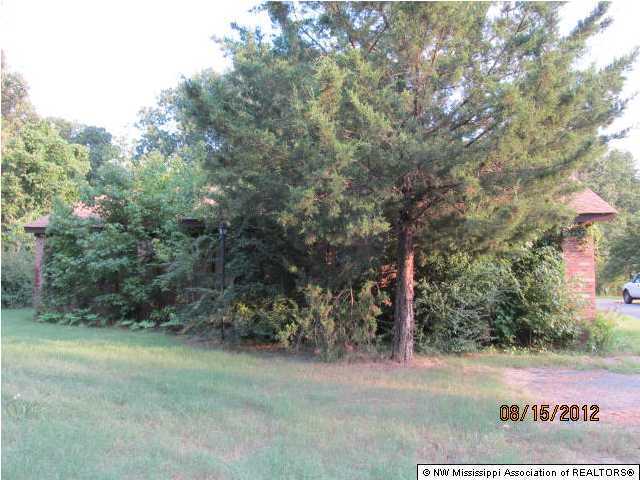 4873 Pleasant Hill Road Nesbit, MS 38651 - Photo 1 of 15 Primary Photo