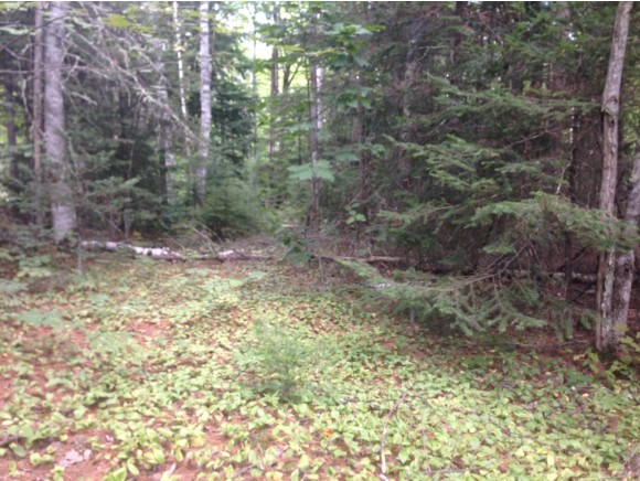 0 Toad Hill Road Franconia, NH 03580 - Photo 5 of 6