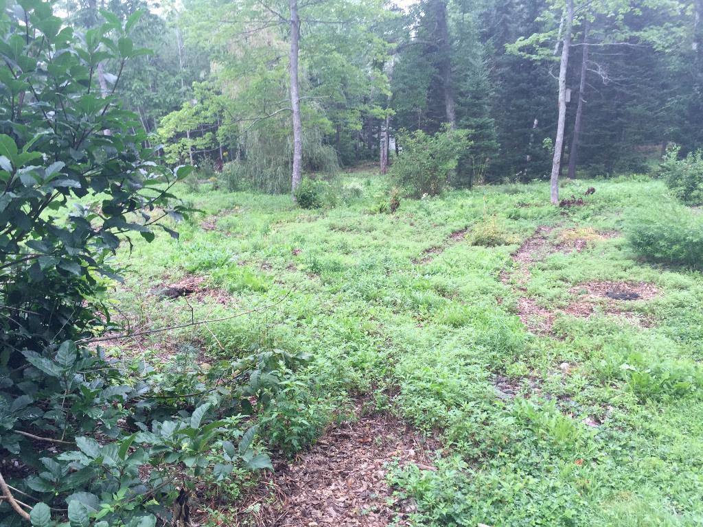 414 Payson Road Union, ME 04862 - Photo 3 of 3 Photo