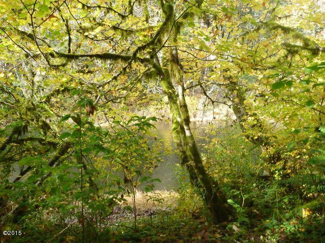 2000 Hamer Road Siletz, OR 97380 - Photo 2 of 3 River Bank