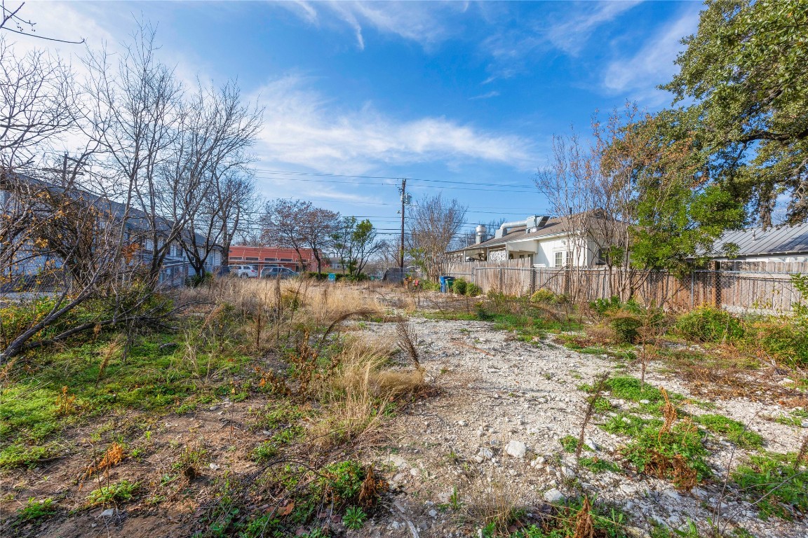 1809 South 1st Street Austin, TX 78704 - Photo 12 of 14 a view of a yard with large trees