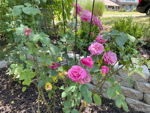 $245,000 | 2148 Stone Gate Drive, Dupo, IL 62239