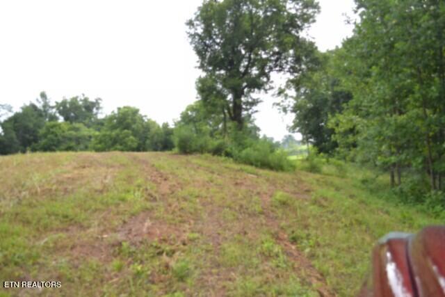 2390 Pea Ridge Fire Tower Road Celina, TN 38551 - Photo 28 of 35 DSC_0027