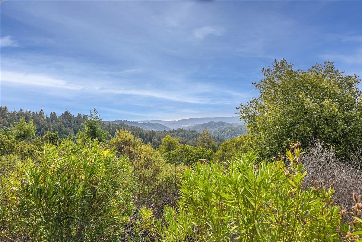 22293 Old Logging Road Los Gatos, CA 95033 - Photo 49 of 66 Gallery Image 49