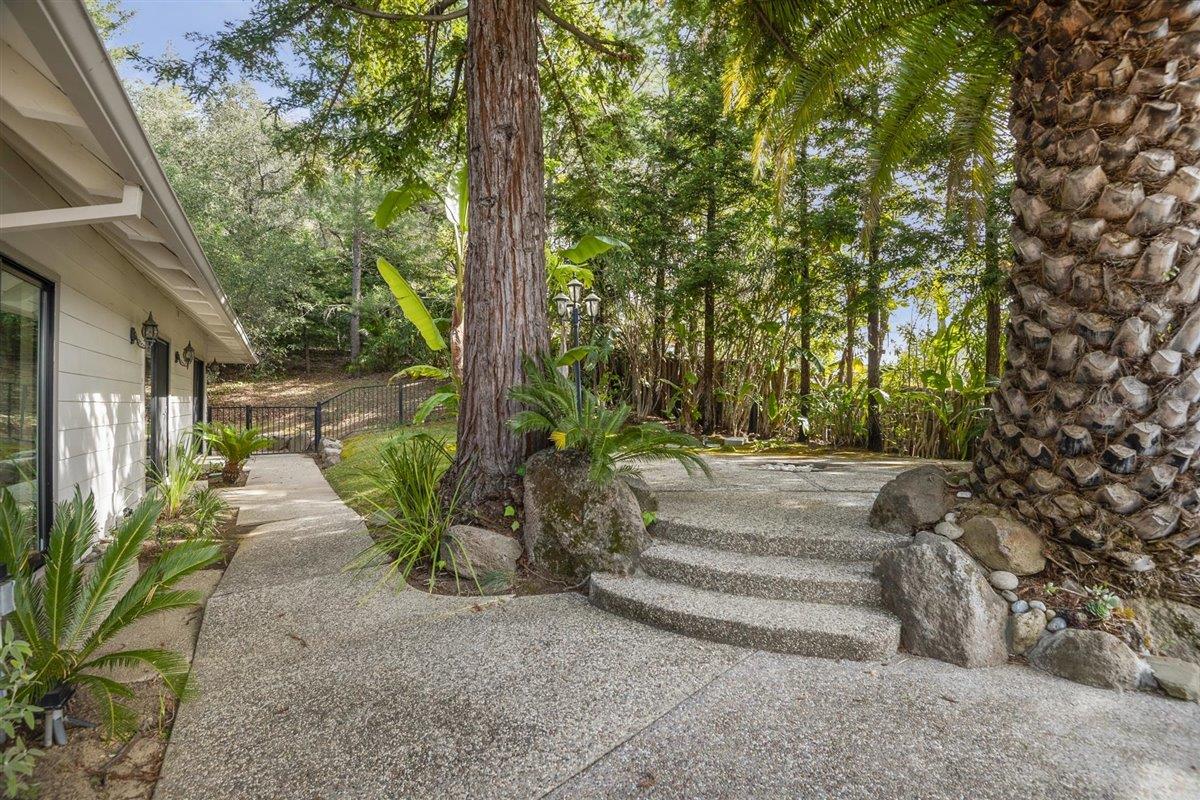 22293 Old Logging Road Los Gatos, CA 95033 - Photo 53 of 66 Gallery Image 53