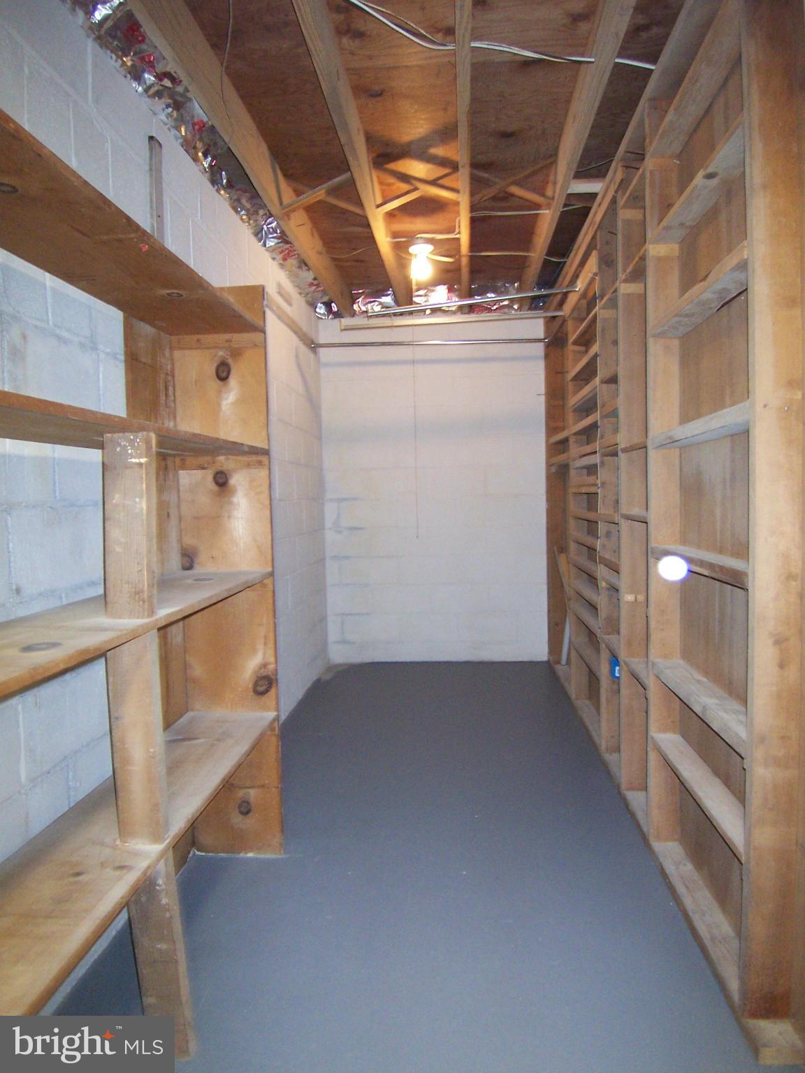 6136 Roxbury Avenue Springfield, VA 22152 - Photo 19 of 22 Shelved storage in basement