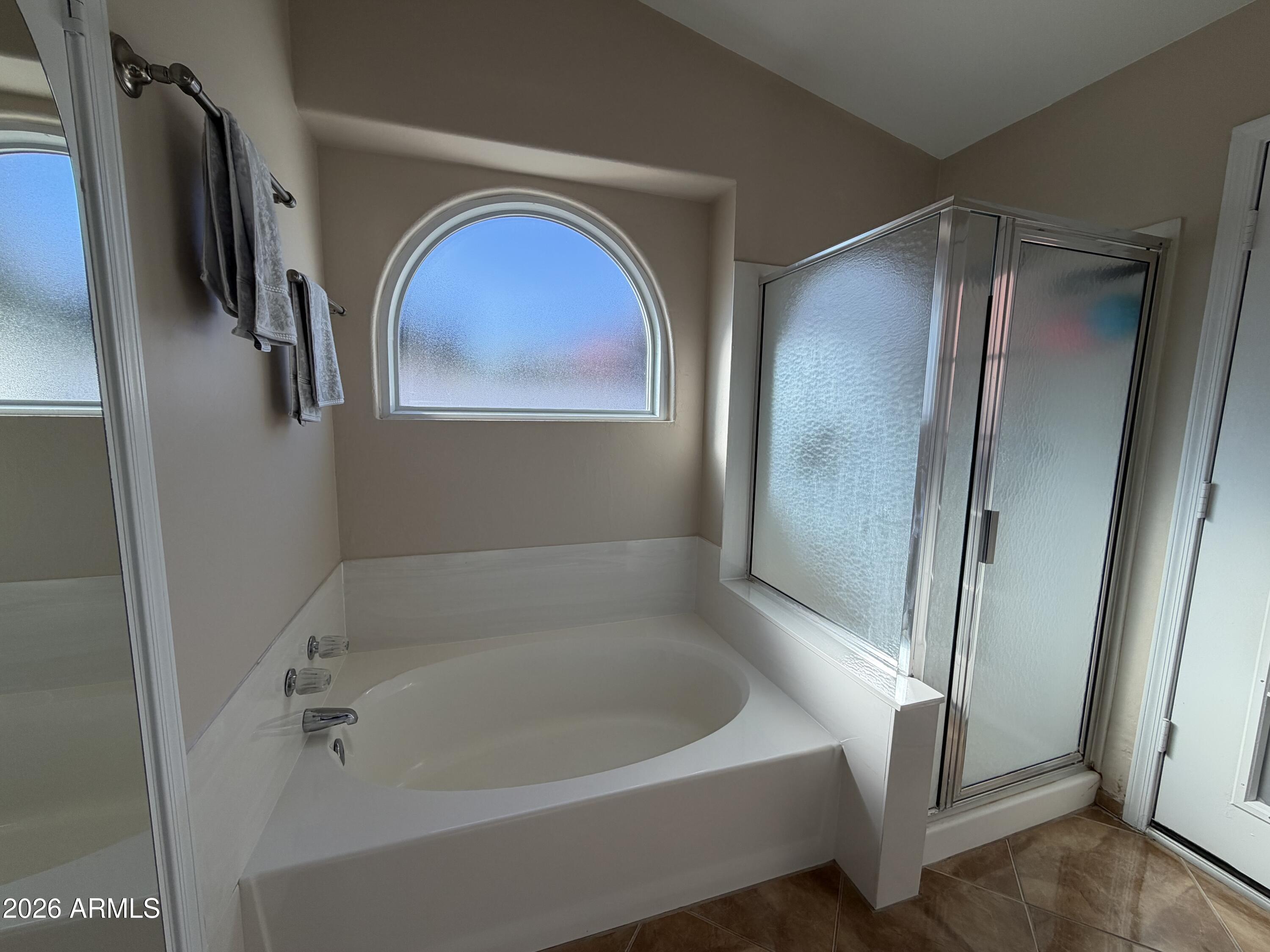 473 West Smoke Tree Road Gilbert, AZ 85233 - Photo 21 of 41 a bathroom with a tub and a glass door