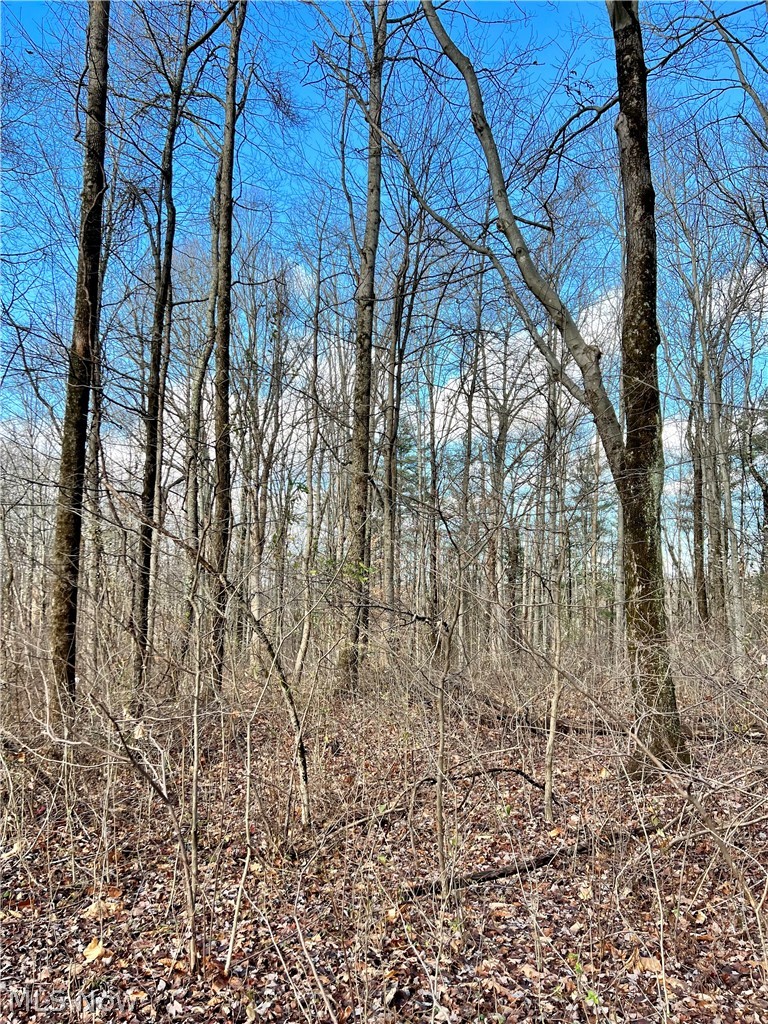 Poverty Ridge Road Blue Rock, OH 43720 - Photo 19 of 34