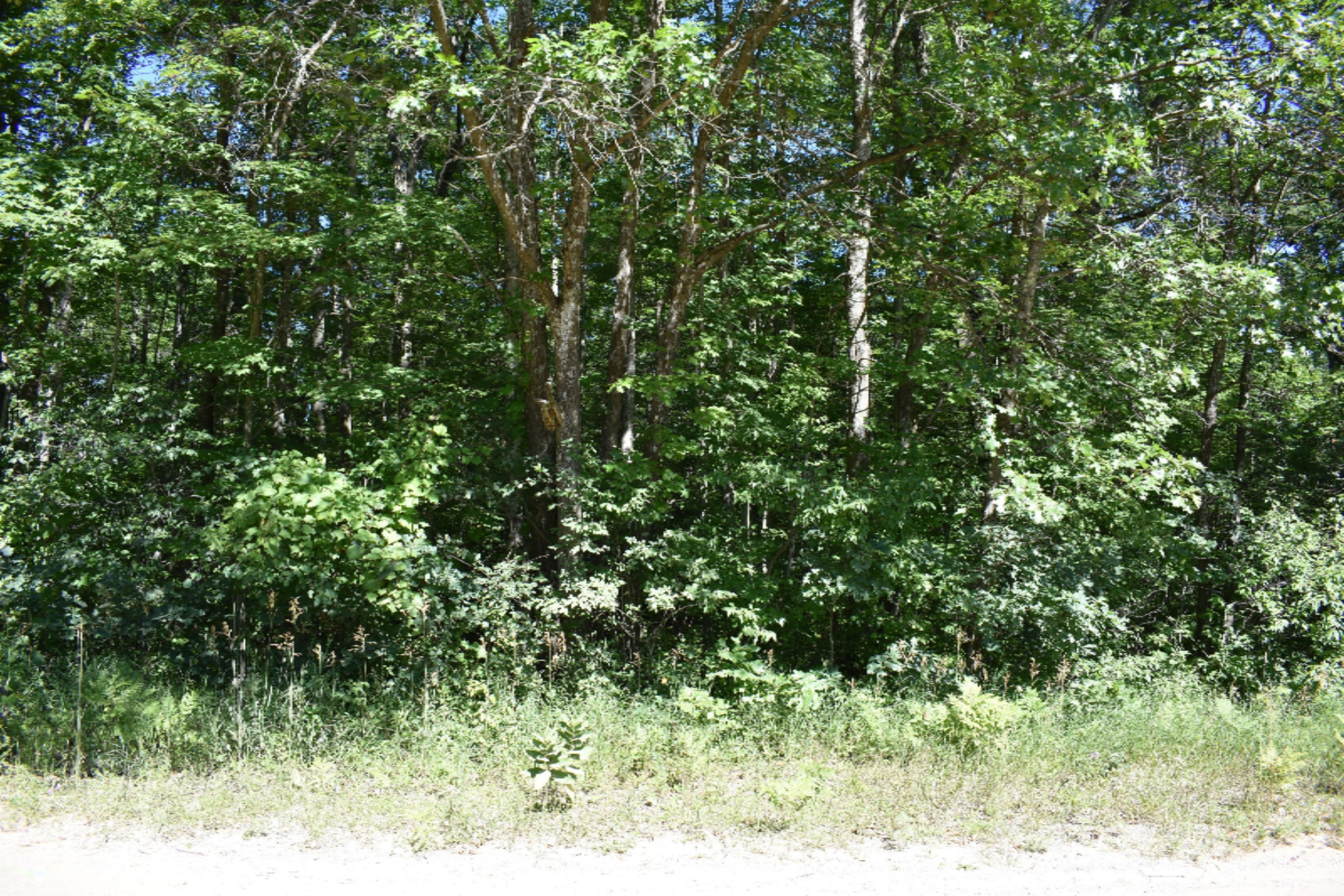 Clements Road Brethren, MI 49619 - Photo 1 of 4 DSC_0253