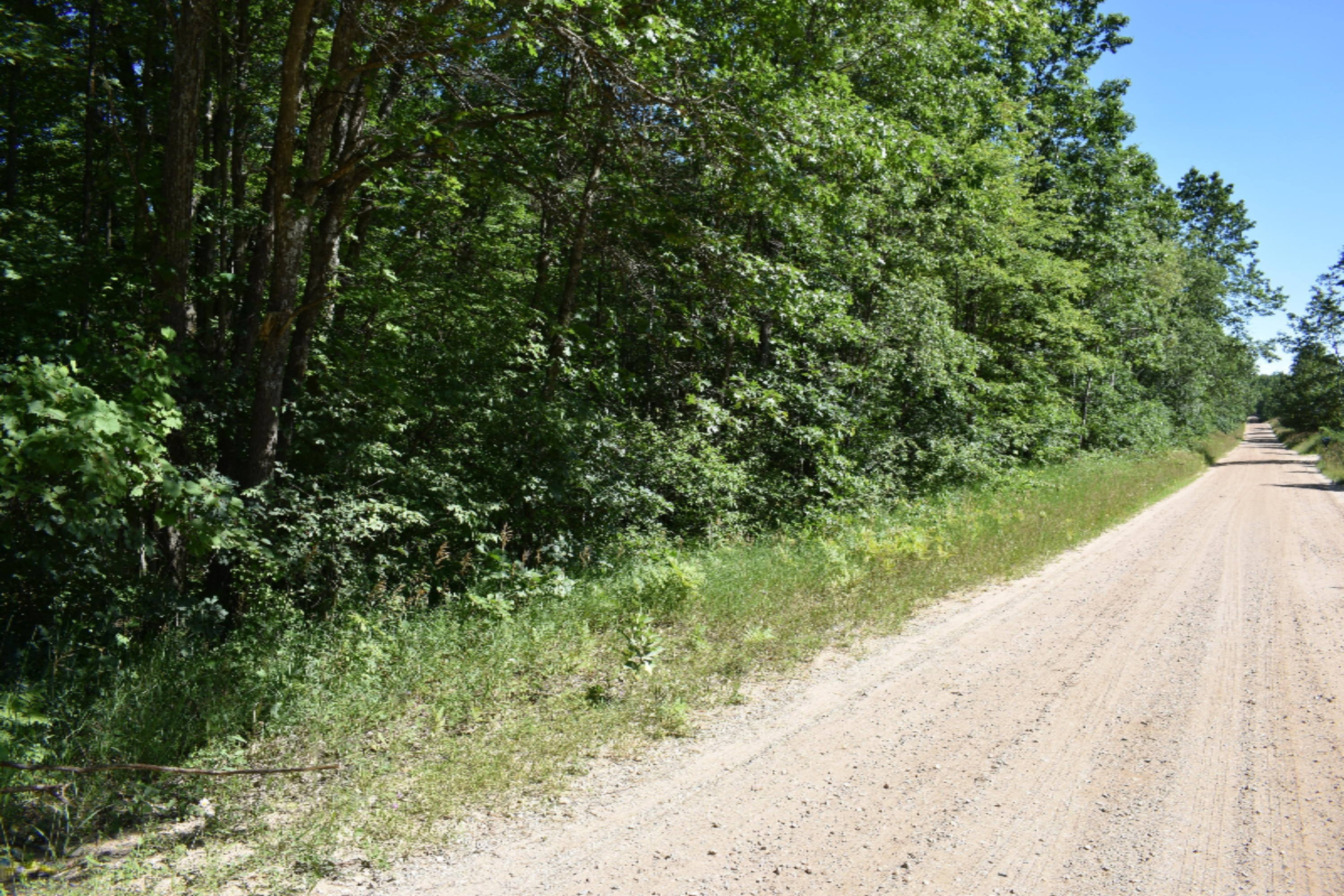 Clements Road Brethren, MI 49619 - Photo 4 of 4 DSC_0250