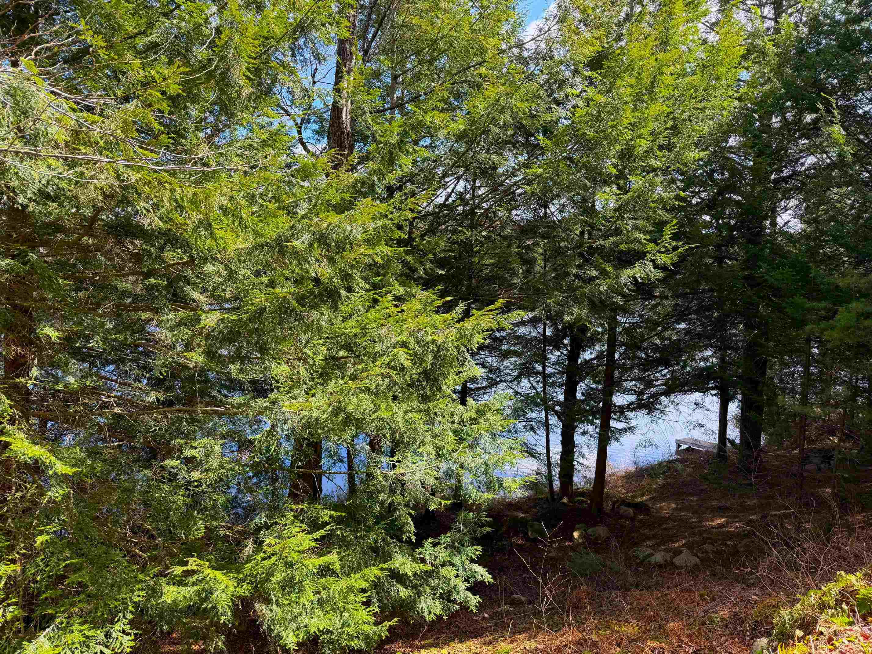 Tall Timber Drive Grantham, NH 03753 - Photo 4 of 16