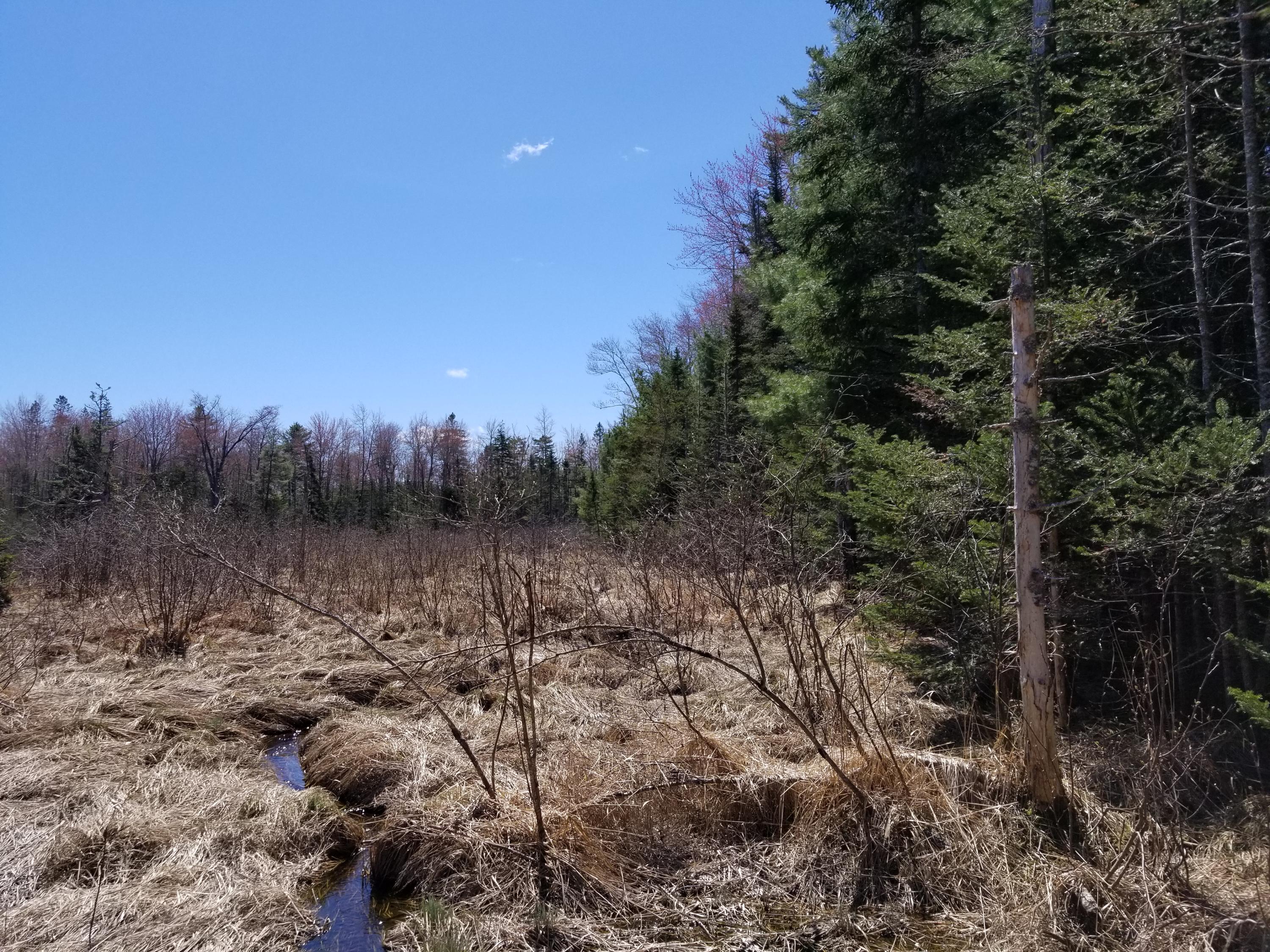 160 Southern Bay Road Penobscot, ME 04476 - Photo 29 of 62 29 meadow view
