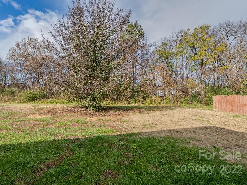 3036 Proverbs Court Monroe, NC 28110 - Photo 17 of 18 a view of yard with large trees