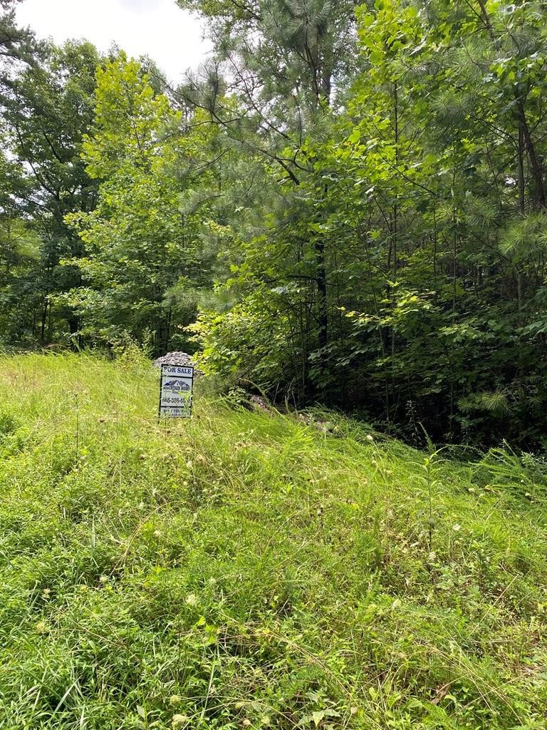 24 Fox Hunters Way Sevierville, TN 37876 - Photo 6 of 6