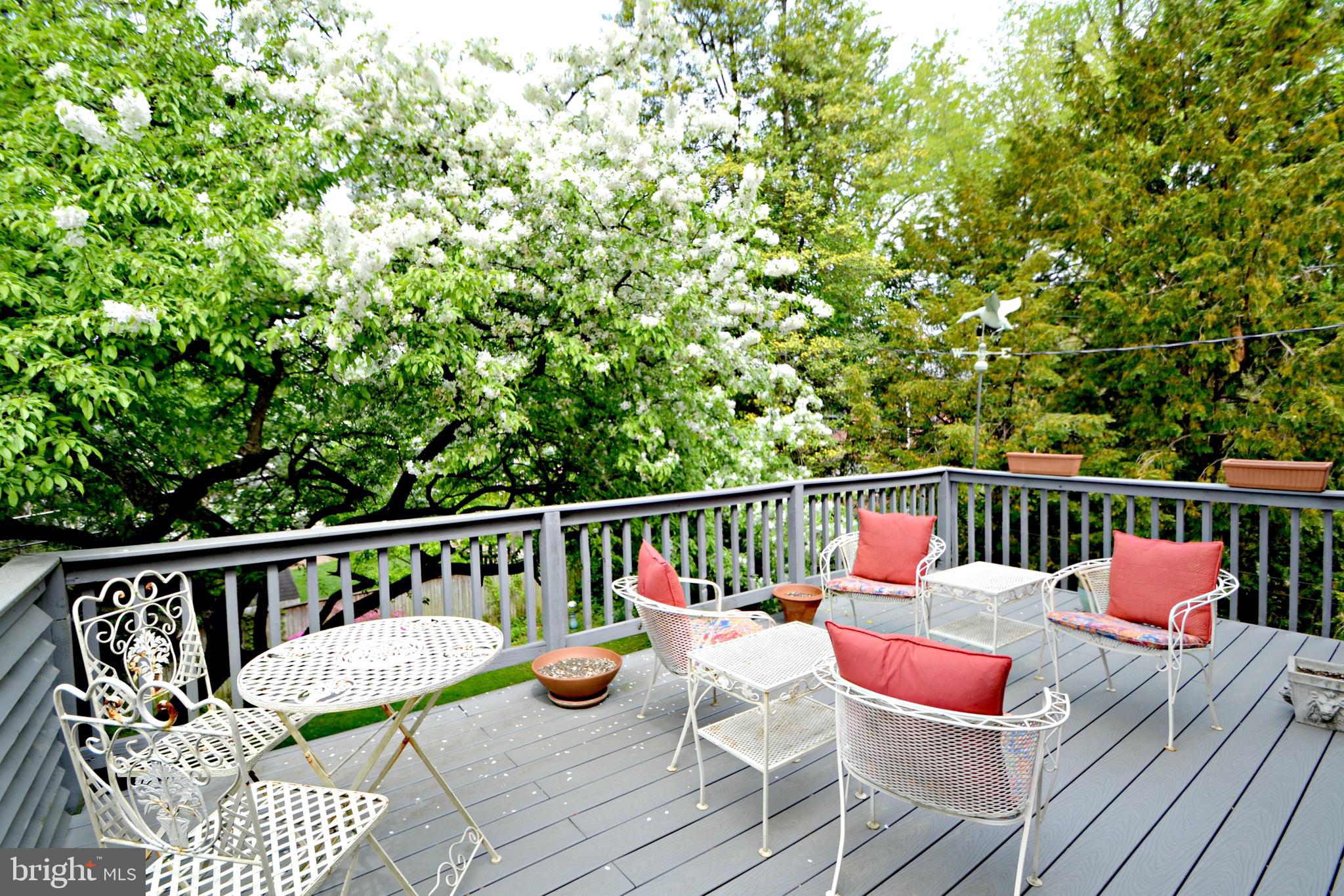 6906 Avondale Road Baltimore, MD 21212 - Photo 44 of 46 Rear deck off the owner's suite