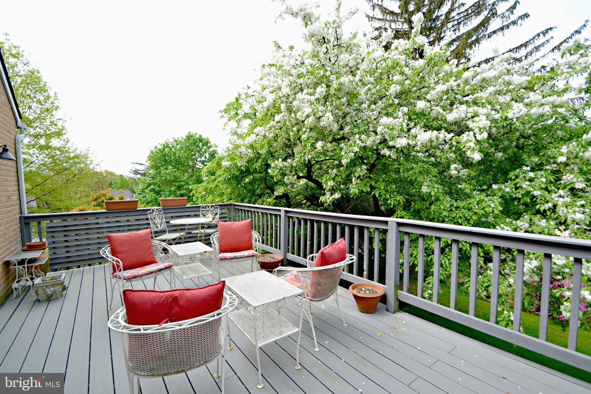 6906 Avondale Road Baltimore, MD 21212 - Photo 45 of 46 Rear deck off the owner's suite
