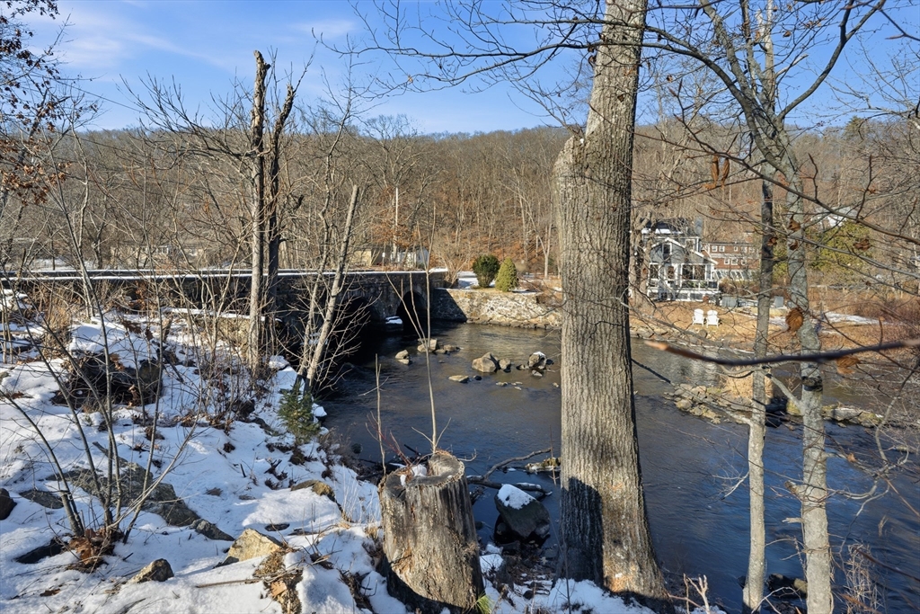 10 Mill Street, Unit Q Maynard, MA 01754 - Photo 26 of 31 a view of a tree
