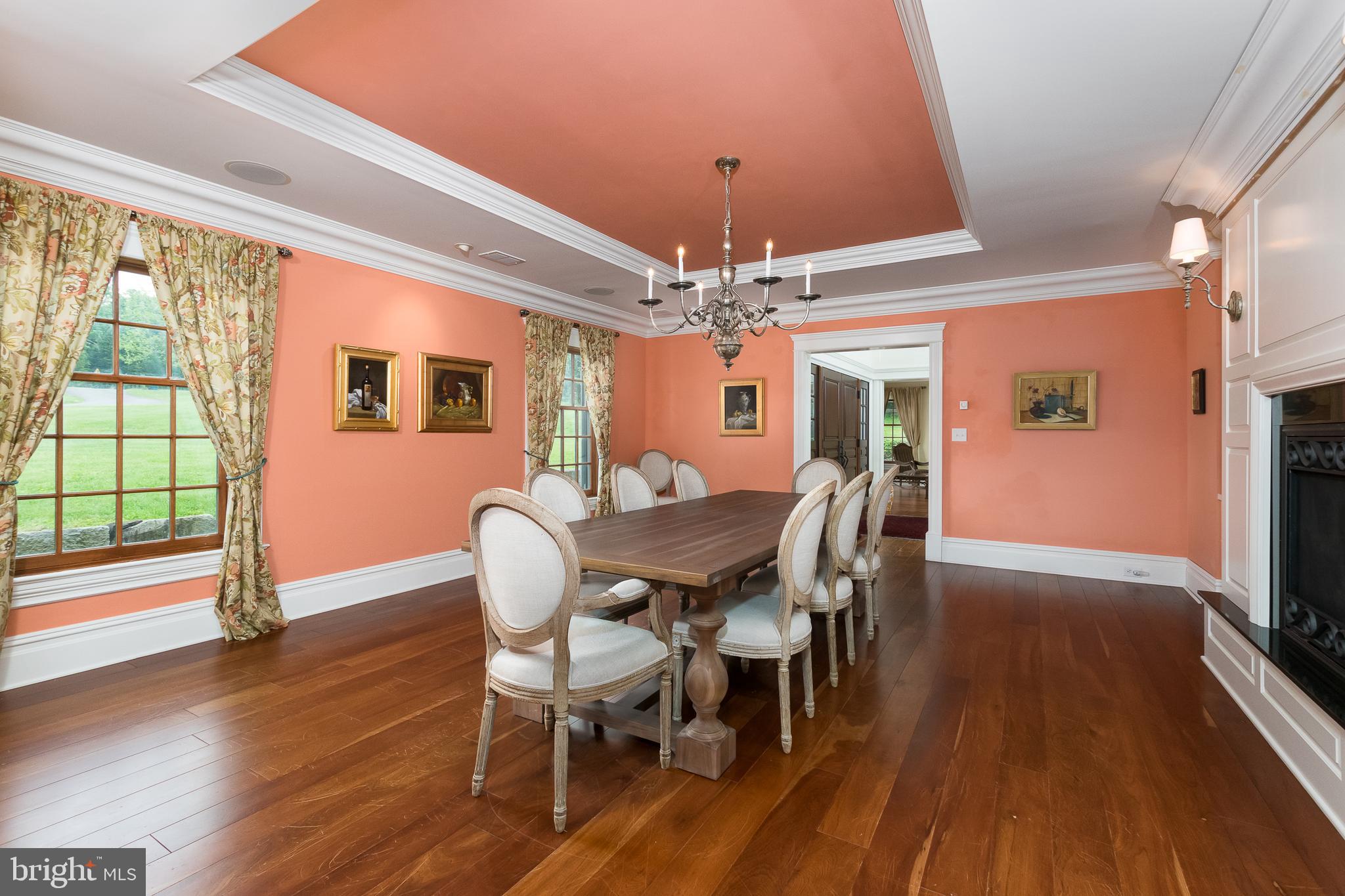 80 Mapleton Road Princeton, NJ 08540 - Photo 15 of 55 Beautiful trey ceilings