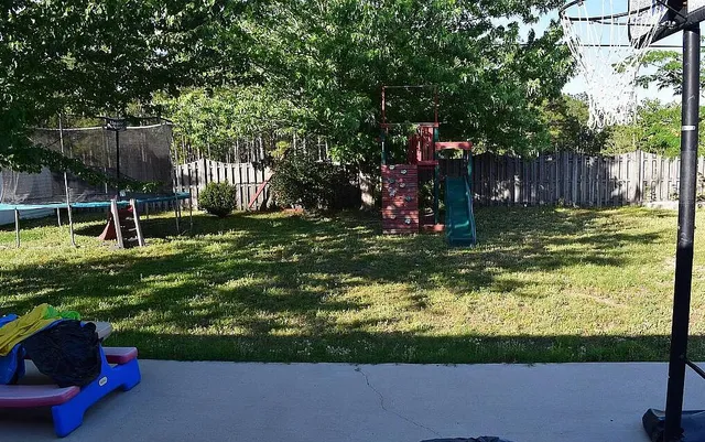 a view of a garden with a bench in garden