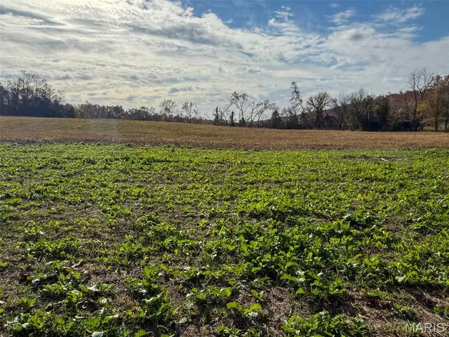 $299,988 | 36-acres Highland Fling, Sullivan, MO 63080