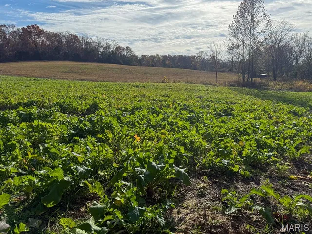 $299,988 | 36-acres Highland Fling, Sullivan, MO 63080