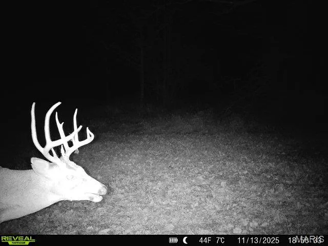 $299,988 | 36-acres Highland Fling, Sullivan, MO 63080