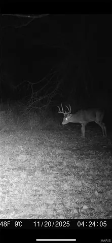 $299,988 | 36-acres Highland Fling, Sullivan, MO 63080