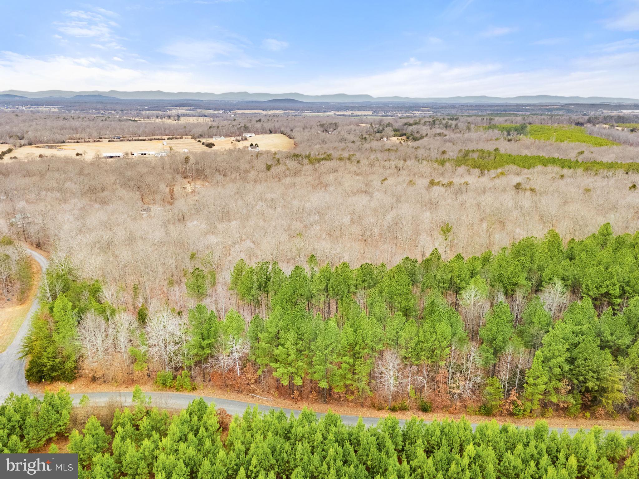 Sams Ridge Lignum, VA 22726 - Photo 25 of 31