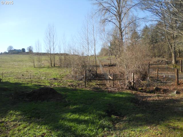 0 Strong Road Southeast Salem, OR 97302 - Photo 2 of 8