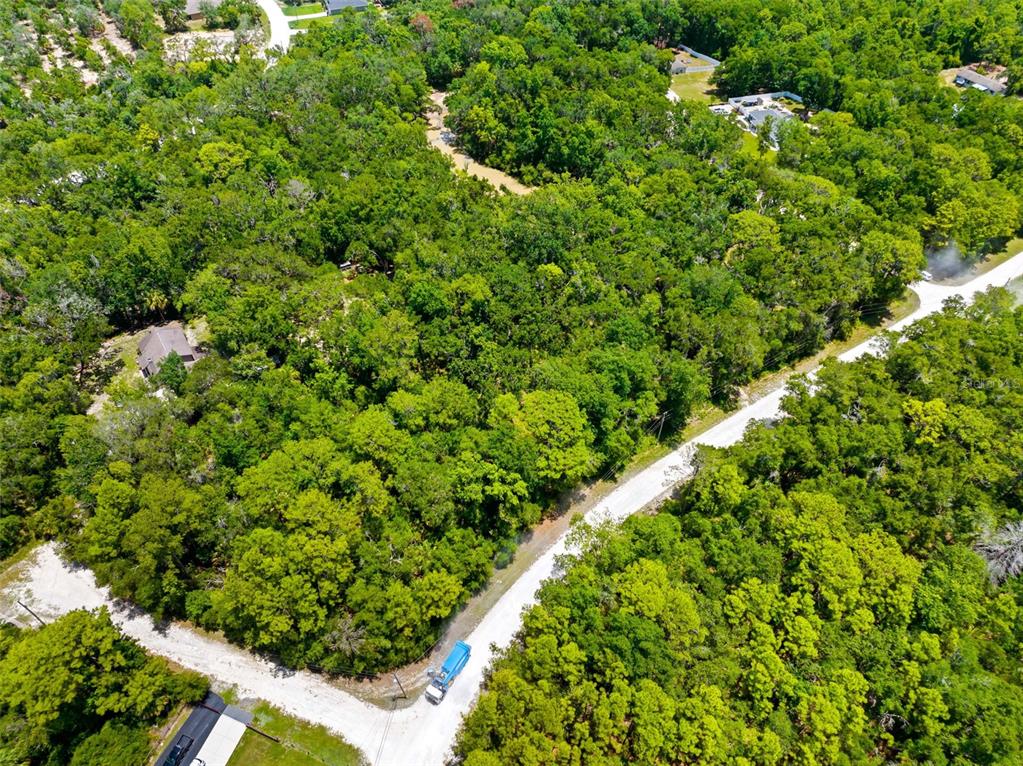 0 Ricebird Avenue, Unit LOT 89 Weeki Wachee, FL 34614 - Photo 9 of 27
