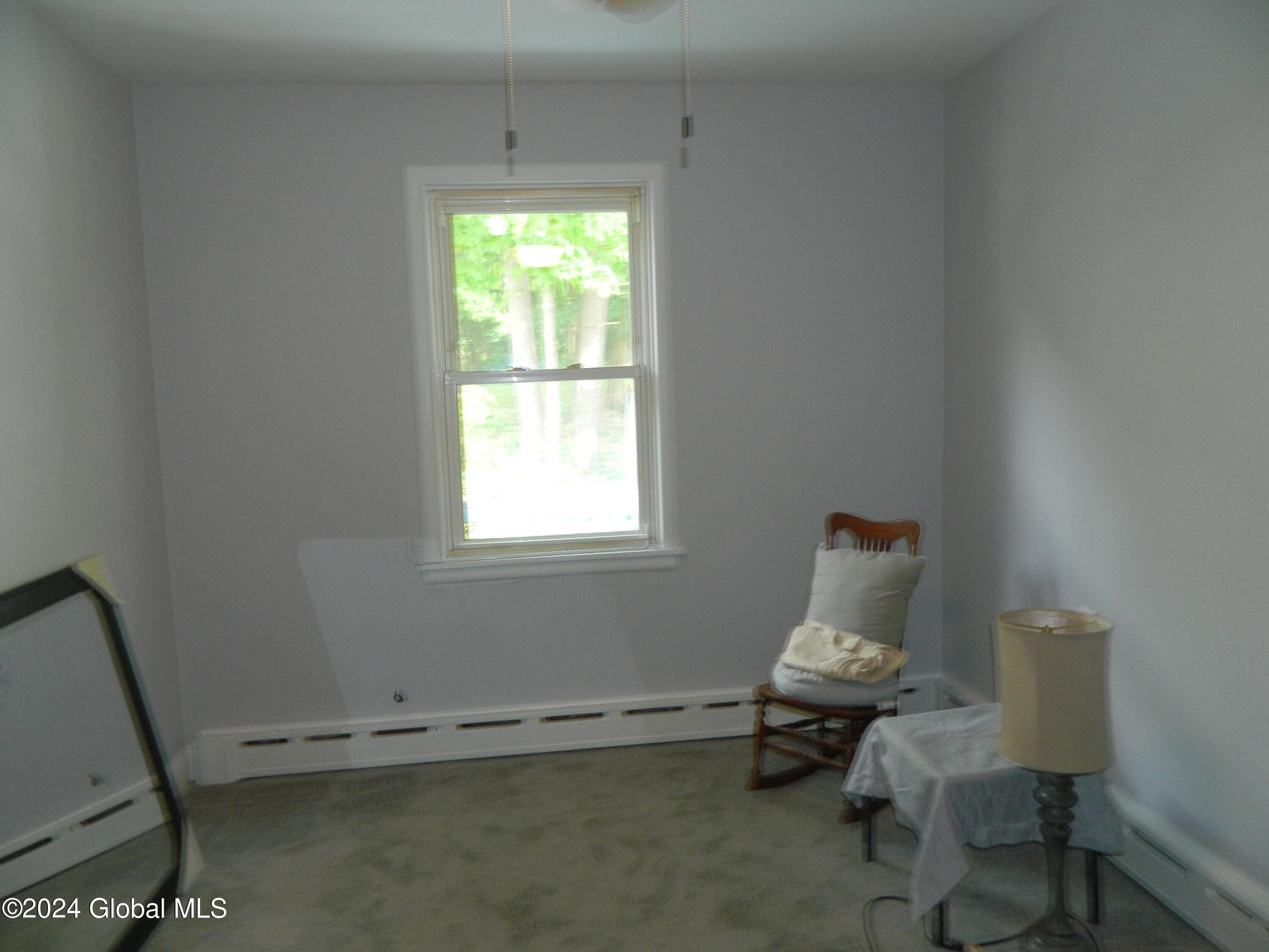 1303 Schodack Valley Road Castleton-on-Hudson, NY 12033 - Photo 19 of 30 DSCN9650