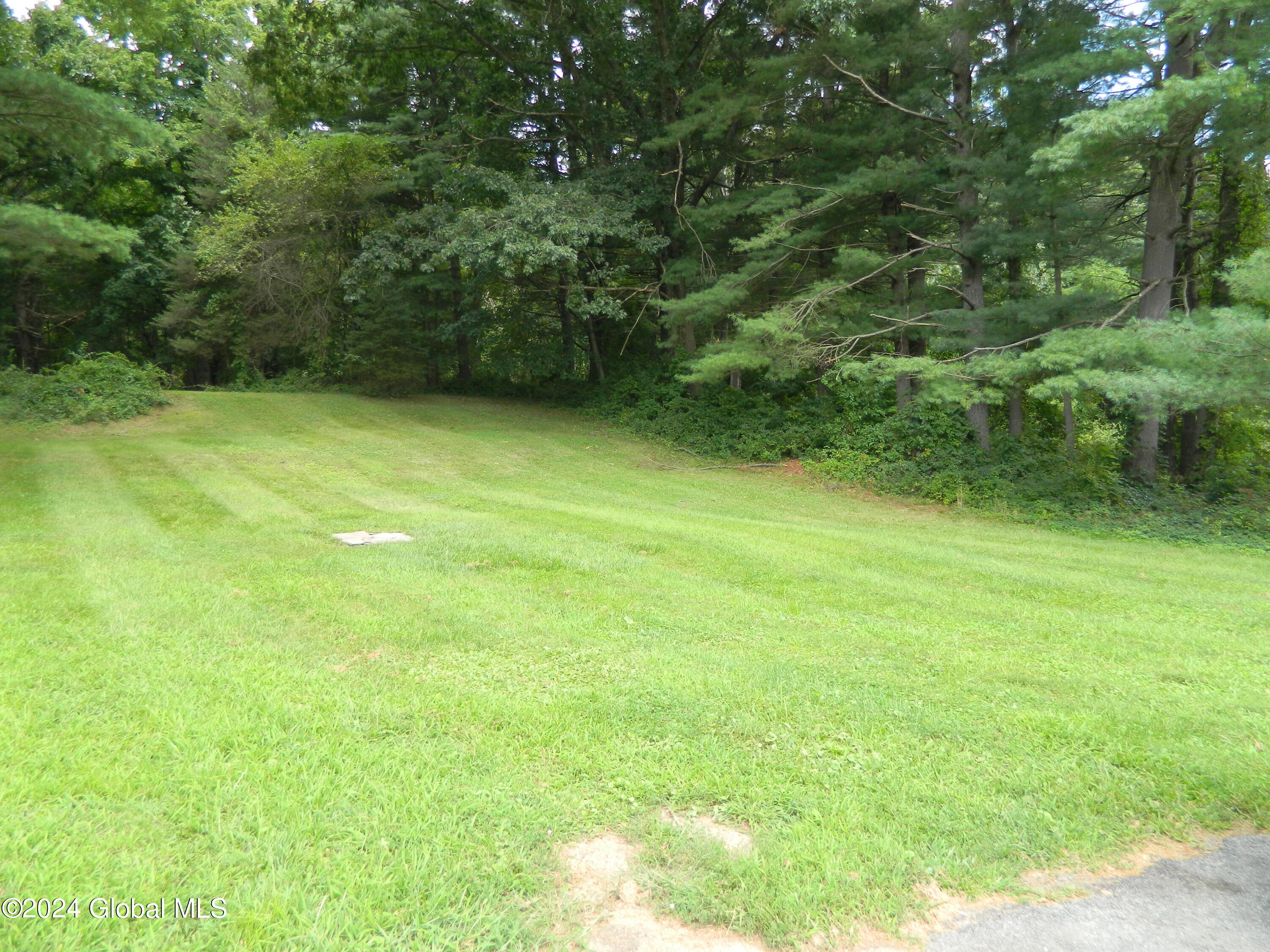 1303 Schodack Valley Road Castleton-on-Hudson, NY 12033 - Photo 28 of 30 DSCN9659