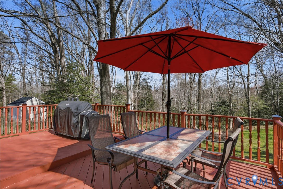 11358 Old Scotland Road Glen Allen, VA 23059 - Photo 55 of 68