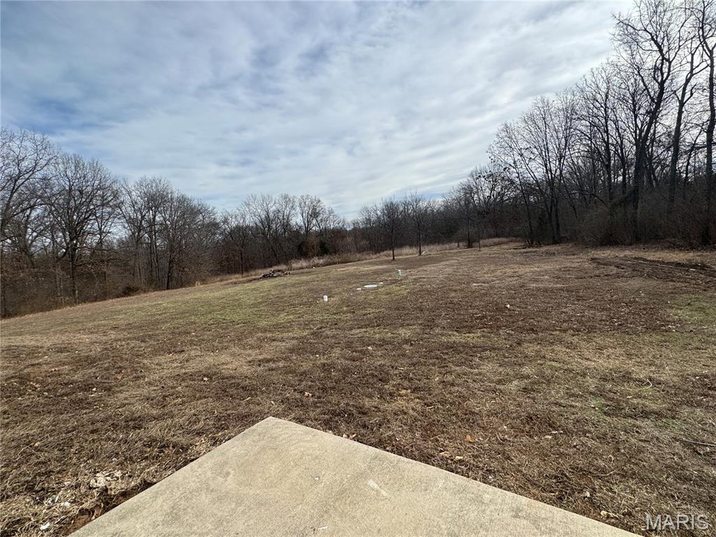 116 Bailey Rose Court Troy, MO 63379 - Photo 18 of 31