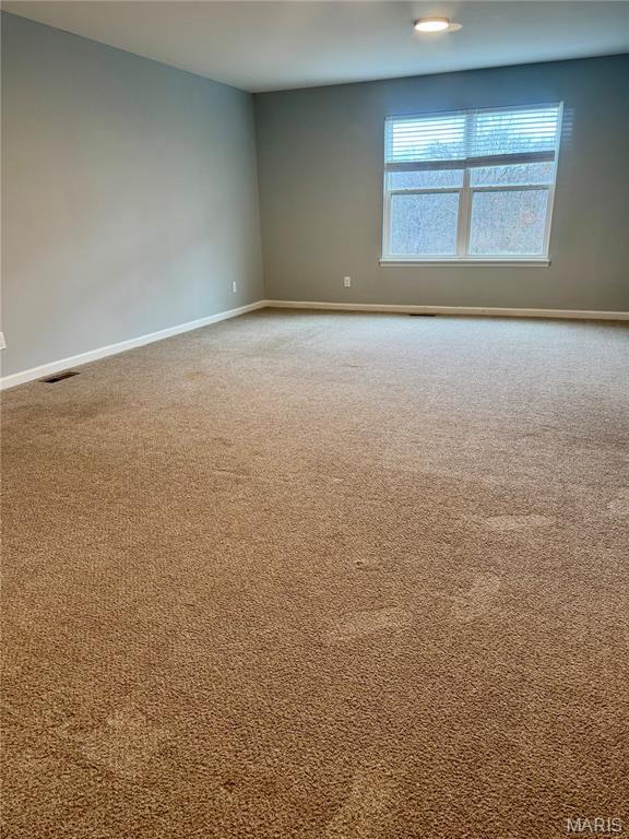 116 Bailey Rose Court Troy, MO 63379 - Photo 27 of 31