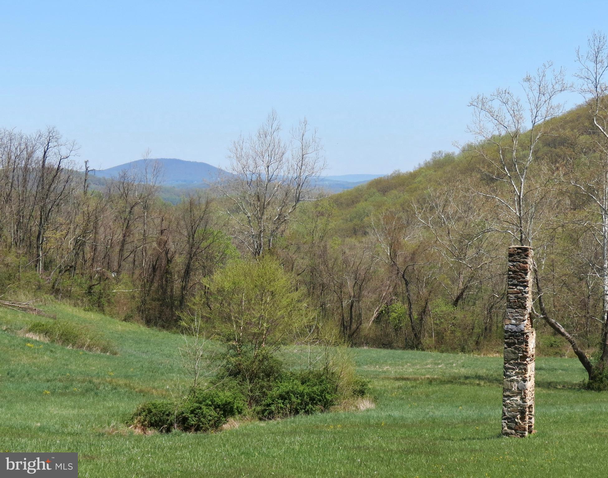 346 Riley Hollow Road Huntly, VA 22640 - Photo 2 of 15 Valley view