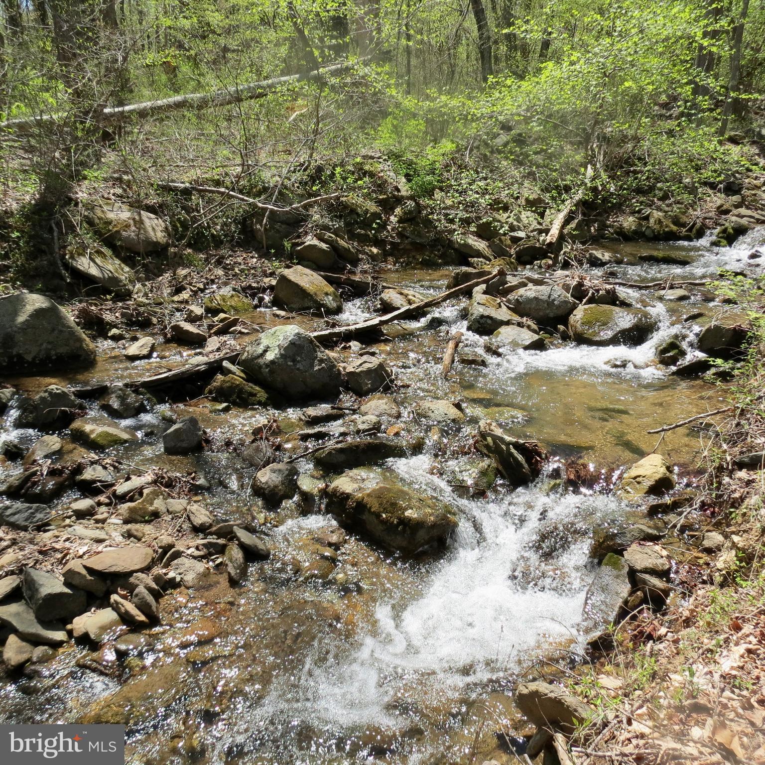 346 Riley Hollow Road Huntly, VA 22640 - Photo 13 of 15 View
