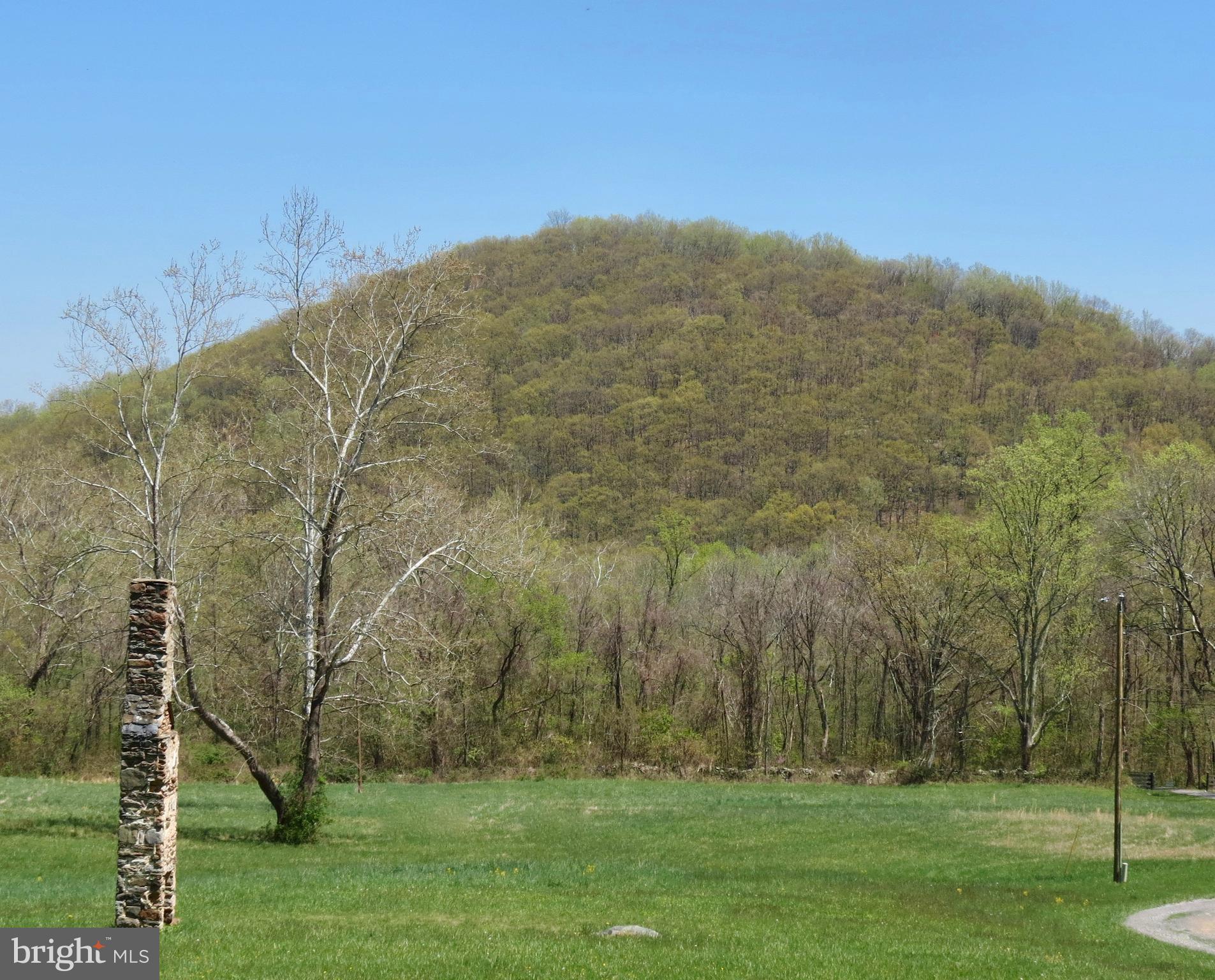 346 Riley Hollow Road Huntly, VA 22640 - Photo 3 of 15 Picnic table in front of old chimney?