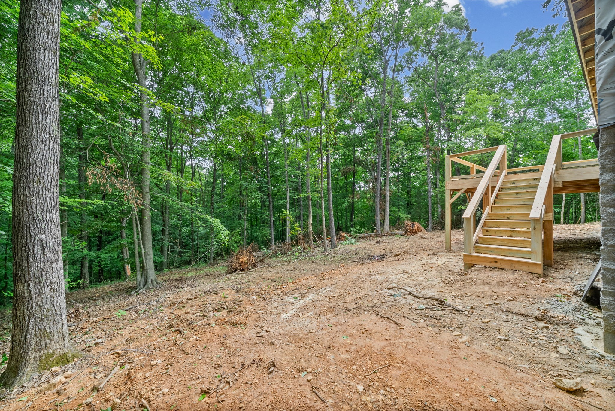 1429 Brigham Branch Road Erin, TN 37061 - Photo 7 of 12
