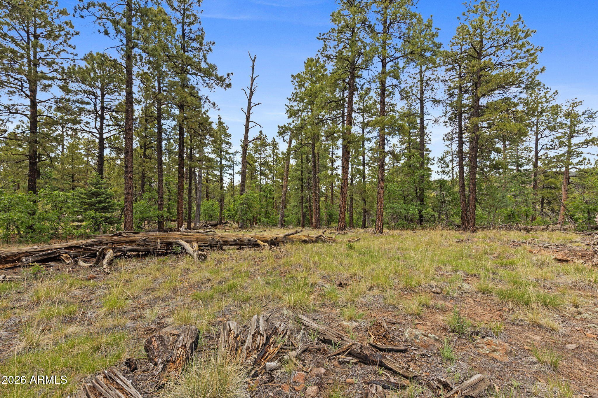 1628 Canyon View Loop, Unit 27 Williams, AZ 86046 - Photo 18 of 27
