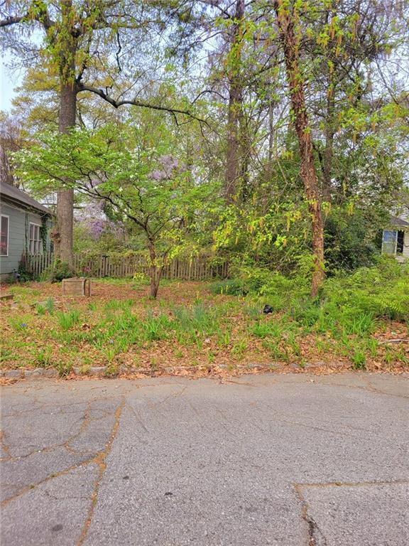0 8th Street Atlanta, GA 30344 - Photo 1 of 1