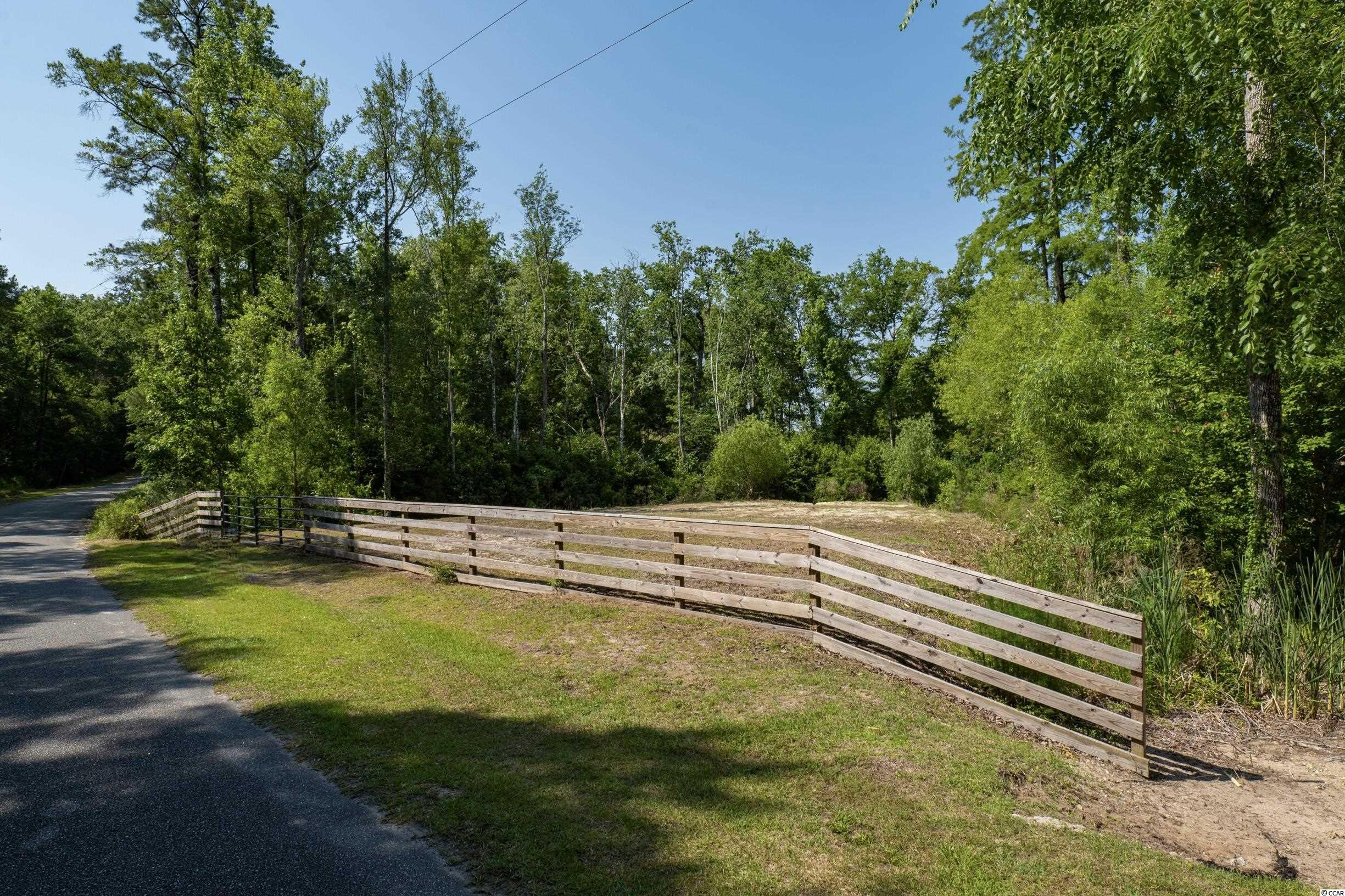 Tbd Francis Marion Drive Georgetown, SC 29440 - Photo 26 of 28