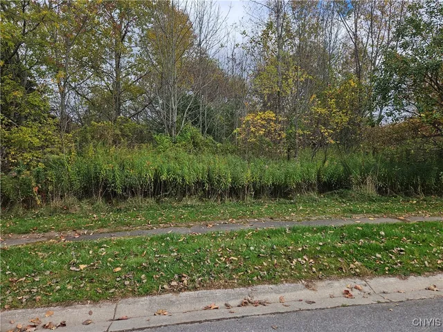 $32,000 | Salmon Meadow Lane, Pulaski, NY 13142