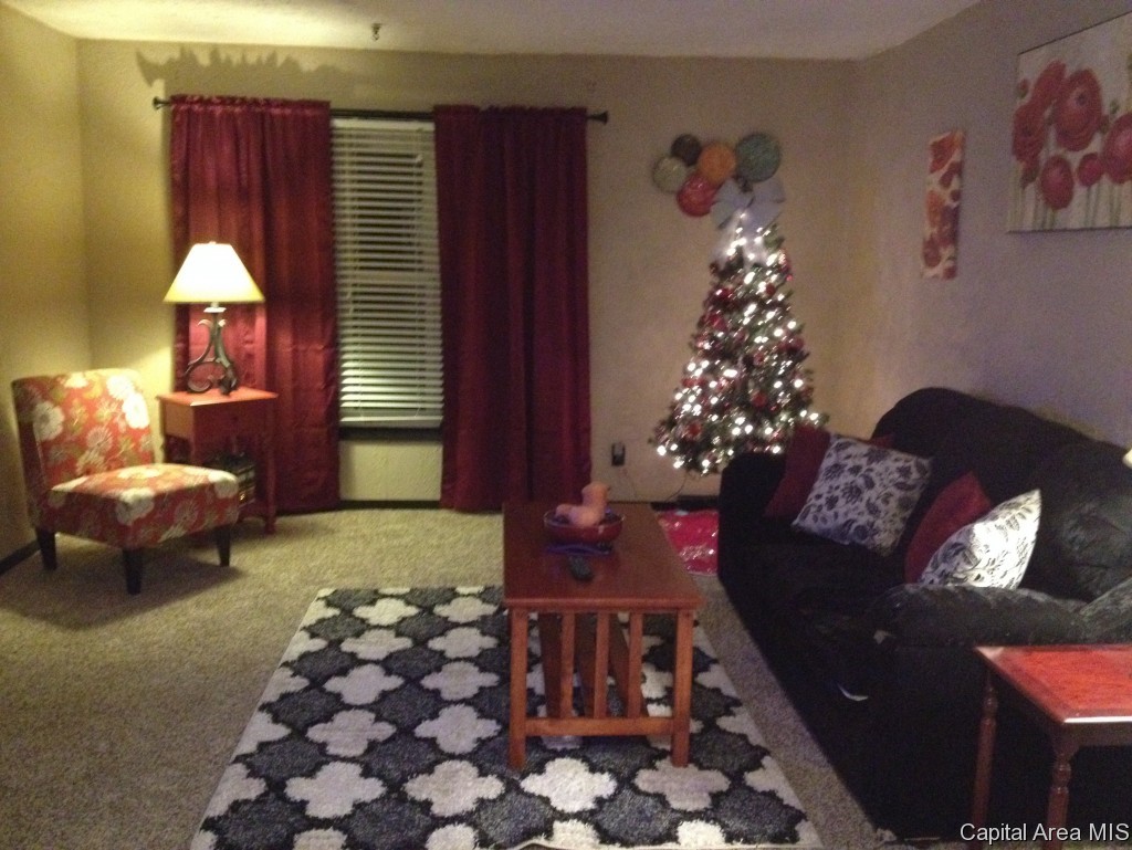 3697 Tuxhorn Road Springfield, IL 62712 - Photo 5 of 25